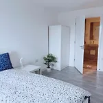 Modern House